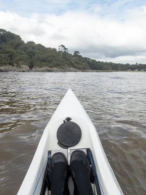 Think Nitro — flat-water action